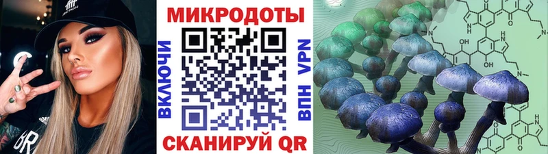 где найти наркотики Болхов Галлюциногенные грибы прущие грибы